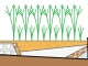 Station écologique de traitement de l'eau - 4.5.18