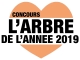 L'arbre de l'année 2019 : Participez