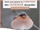 Weekend national de comptage des oiseaux des jardins