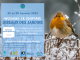Comptage des oiseaux des jardins - 29&30 janvier 2022 