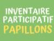 Inventaire papillons - Mercredi 18 mai 2022