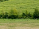 Table ronde sur la haie champêtre à Villeneuve/Lot - 1er juin 2023 